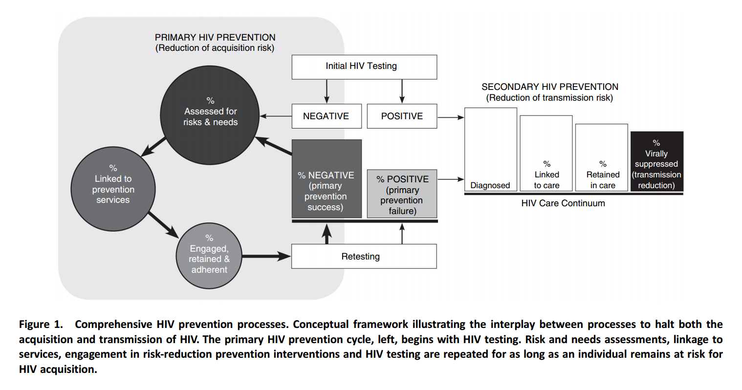 Conceptual model