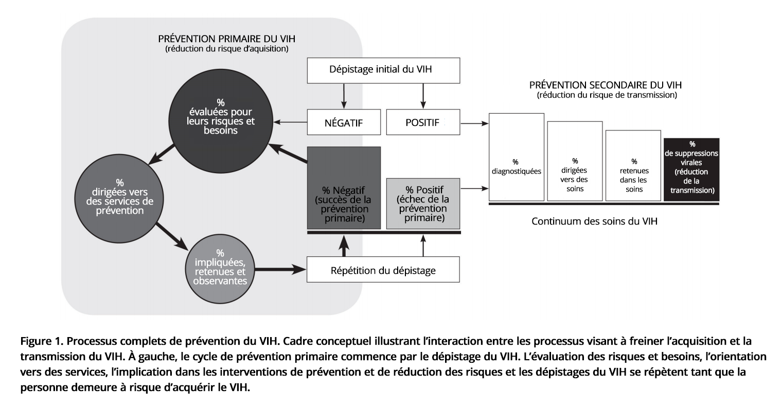 Conceptual model FR