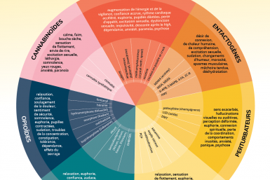 La roue des drogues