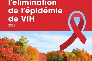 es Progrès du Canada vers l'élimination de l'épidémie de VIH