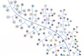 A social network approach to HIV investigation and partner notification