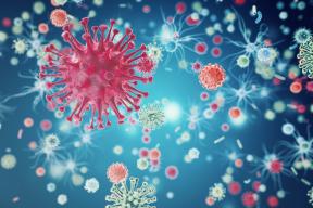 Preventing the sexual transmission of HIV course