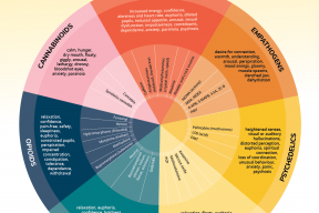 The Drugs Wheel