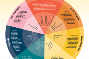 La roue des drogues