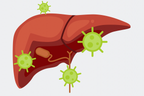 PiF HCV Transmission image