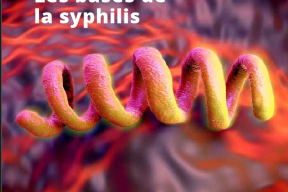 Les bases de la syphilis : Trousse de contenu du cours