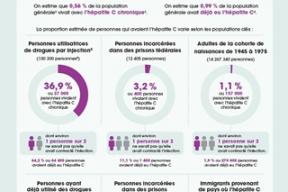 Estimations de l’hépatite virale chez les populations clés au Canada, 2021