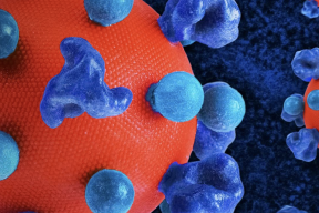 HIV: From exposure to infection