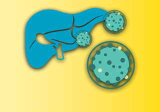 Facilitated course: Hepatitis C Treatment