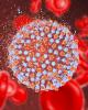 Hepatitis C basics course