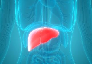Long-term liver health